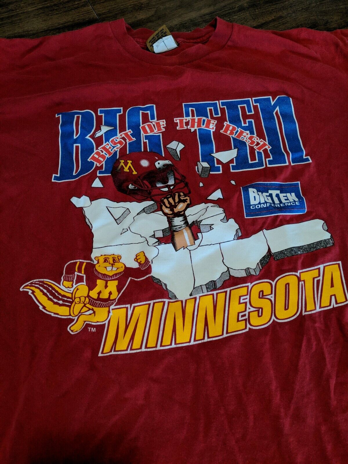 Big Ten Minnesota Golden Gophers Football T-Shirt Big Ten Conference Full Size, Football Lover Gifts