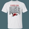 Carolina Hurricanes Retro NHL T-Shirt Sweatshirt Hoodie National Hockey League Shirt