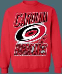 Carolina Hurricanes Vintage NHL Sweatshirt Hoodie TShirt For Hockey Lovers