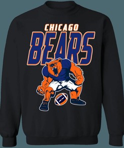 Chicago Bears Vintage NFL American Football Lover Sweatshirt Hoodie