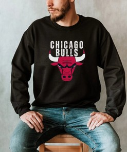 Chicago Bulls Shirt, Chicago Sweatshirt, Bulls Shirt, Chicago Basketball Shirt, Vintage Bulls for NBA Fans