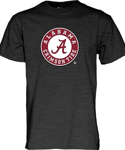 Dark Heather Icon Shirt Hoodie Sweatshirt, College Shirts, Vintage Shirt
