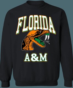 Florida A&M Rattlers Vintage NCAA Sweatshirt Hoodie Shirt For Fans