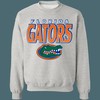 Florida Gators Vintage NCAA Sweatshirt Hoodie Shirt For Fans
