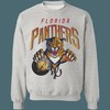 Florida Panthers Vintage NHL Sweatshirt Hoodie TShirt For Hockey Lovers