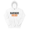 Harvard Sucks Princeton Rivalry Hoodie Sweatshirt Sport Shirt