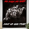 Home Gym Decor No Pain No Gain Wall Banner Flag Tapestry, Motivational Fitness Inspiration Flag