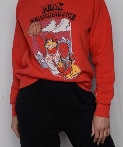 Louisville Super Soft Sweatshirt University Football Hoodie Sweatshirt