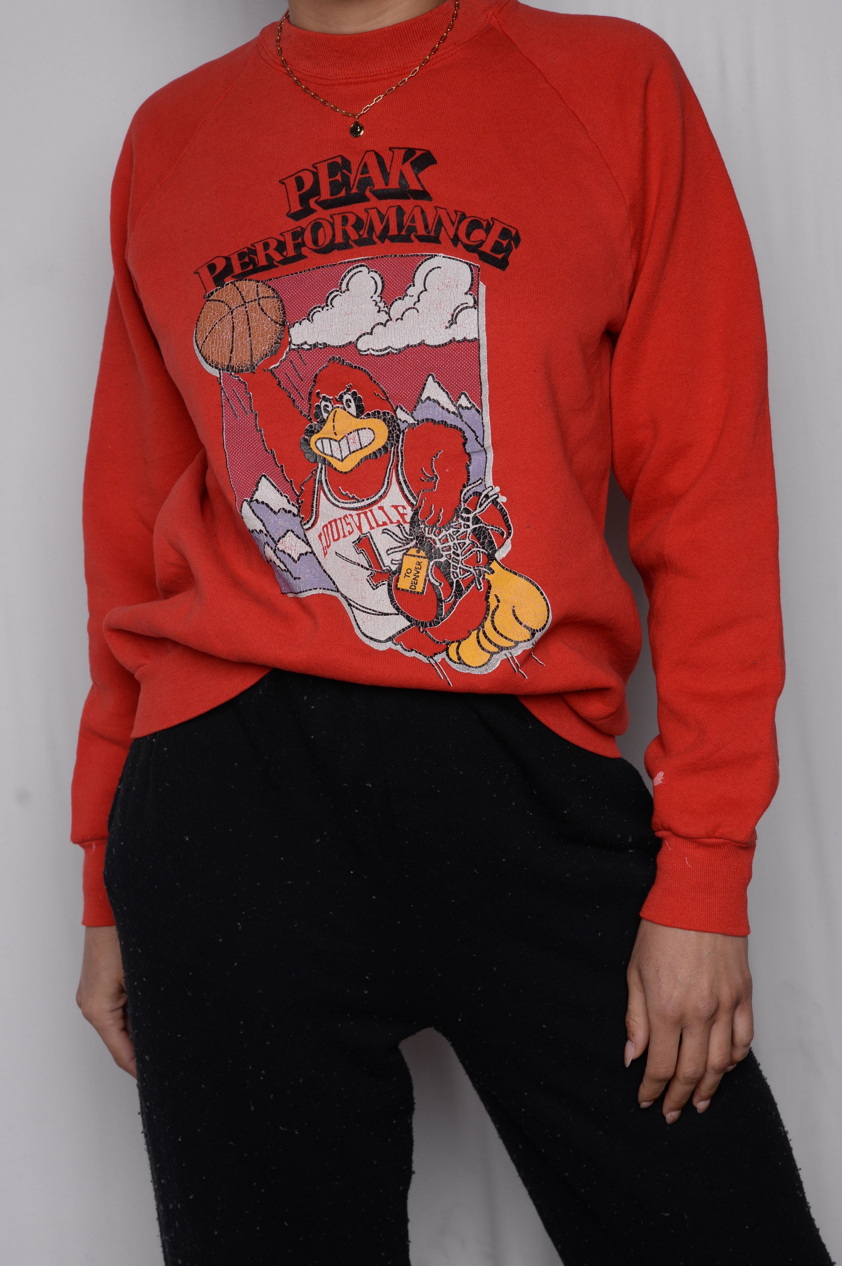 Louisville Super Soft Sweatshirt University Football Hoodie Sweatshirt
