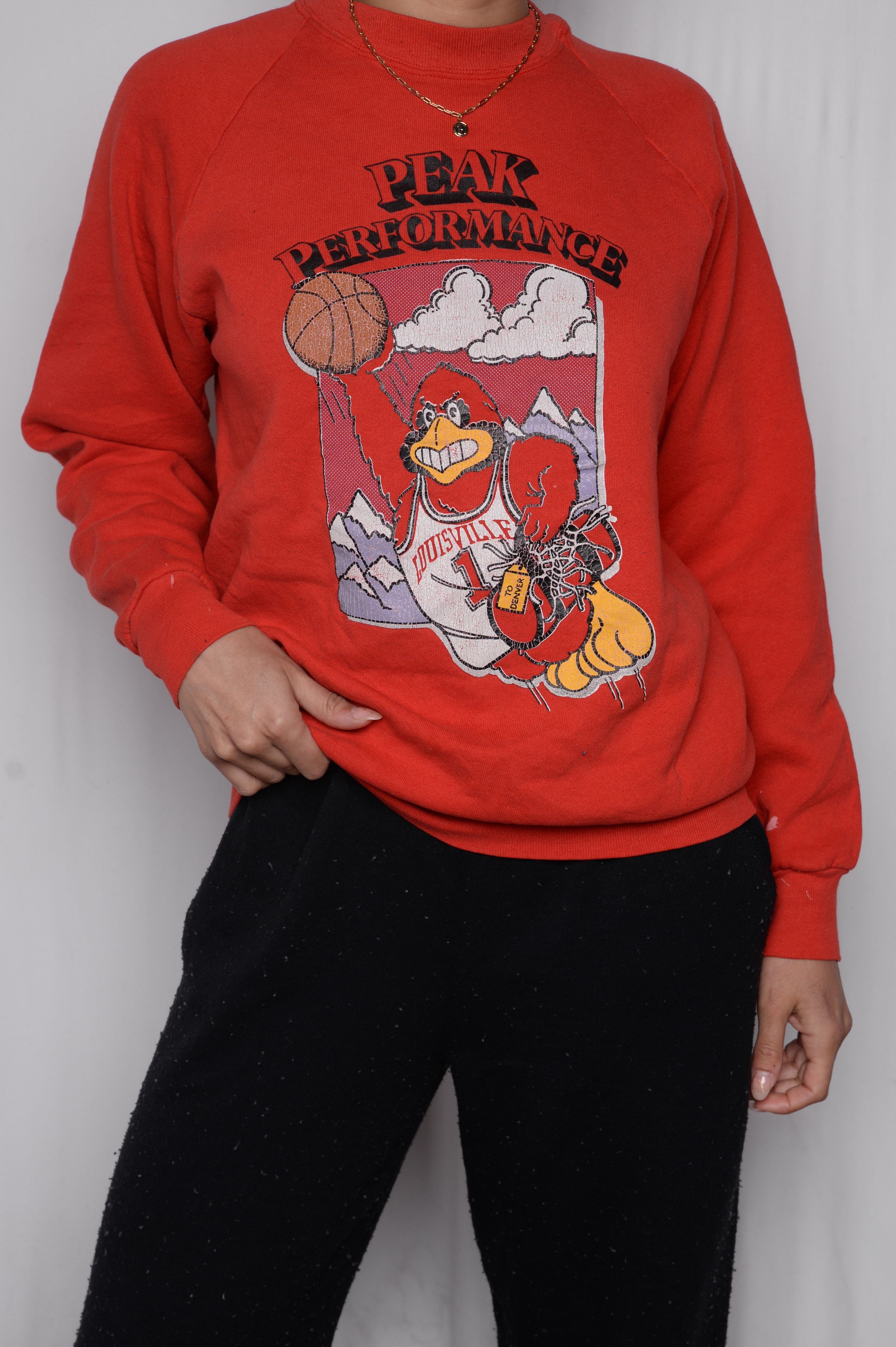 Louisville Super Soft Sweatshirt University Football Hoodie Sweatshirt - Image 3