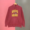 Minnesota Golden Gophers Hoodie Sweatshirt, Ncaa Football Division Pullover Sweater, Vintage College Shirt Top