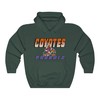 Phoenix Coyotes KACHINA Vintage NHL Hoodie Sweatshirt Sport Shirt