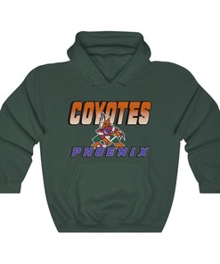 Phoenix Coyotes KACHINA Vintage NHL Hoodie Sweatshirt Sport Shirt