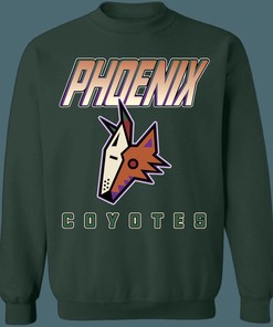 Phoenix Coyotes KACHINA Vintage NHL Sweatshirt Hoodie TShirt For Hockey Lovers