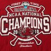 South Carolina Gamecocks Shirt Jersey Ncaa Baseball National Champions Tshirt, Sweatshirt, Hoodie