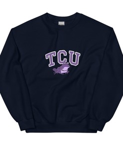 Tcu Hypnotoad Sweatshirt, Tcu Funkytown Hypnotoad Sweatshirt, Tcu Football Sweatshirt