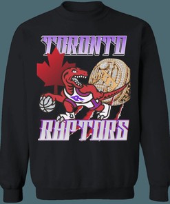 Toronto Raptors CHAMPIONSHIP Vintage NBA Vintage Sweatshirt Hoodie Shirt For NBA Fans