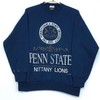 Vintage 1991 Penn State University Nittany Lions Sweatshirt, T shirt, Hoodie