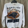 Vintage 1993 Looney Tunes Carolina Panthers Sweatshirt, Hoodie Usc Hoodie Gifts For Ncaa Fans