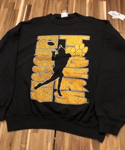 Vintage 20/20 Minnesota Gophers Crewneck Sweatshirt, Football Fan Shirt