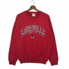Vintage 90’S Louisville Cardinals Sweatshirt Crewneck Ncaa University Of Louisville Sweatshirt Print