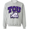 Vintage 90S Texas Christian University Sweatshirt Crewneck, Tcu Horned Frogs Football Hoodie