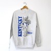 Vintage 90s NCAA Kentucky Wildcats Logo Sweatshirt, University of Kentucky Wildcats Shirt, Unisex Shirt Sweater Hoodie