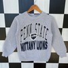 Vintage 90s Penn State Nittany Lions Sweatshirt, Jumper Penn State University Crewneck