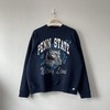 Vintage 90s Penn State University Nittany Lions Crewneck Sweatshirt, Vintage 90s Sweatshirt, Hoodie