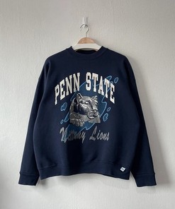 Vintage 90s Penn State University Nittany Lions Crewneck Sweatshirt, Vintage 90s Sweatshirt, Hoodie