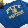 Vintage 90s Pitt Panthers Blue Sweatshirt Gift For Her, Gift For Him