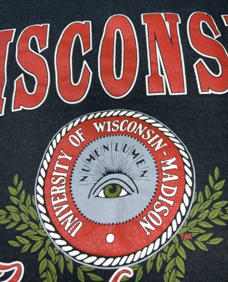 Vintage 90s University Of Wisconsin Badgers Starter Sweatshirt, Hoodie - Image 2