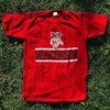Vintage 90s University of Wisconsin Badgers T-Shirt, Sweatshirt, Shirt, Hoodie