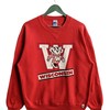 Vintage 90s Wisconsin University Unisex Sweatshirt Hoodie Shirt