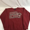 Vintage Carolina Gamecocks Sweatshirt, Hoodie,  Usc Hoodie Gifts For Ncaa Fans, South Carolina University Gifts