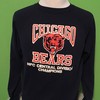Vintage Chicago Bears 1980s NFL Football Nfc Central Divison Champions Sweatshirt Hoodie Shirt