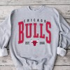 Vintage Chicago Bulls Sweatshirt, Chicago Basketball Hoodie, Chicago Bulls Shirt, Bulls Basketball Unisex Tee