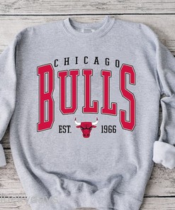 Vintage Chicago Bulls Sweatshirt, Chicago Basketball Hoodie, Chicago Bulls Shirt, Bulls Basketball Unisex Tee