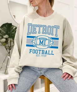 Vintage Detroit Football Sweatshirt, Style Detroit Football Crewneck Sweatshirt, American Football Shirt, NFL Shirt