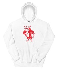 Vintage Indiana Hoodie Sweatshirt Sport Shirt - 1960's Bison Mascot Art