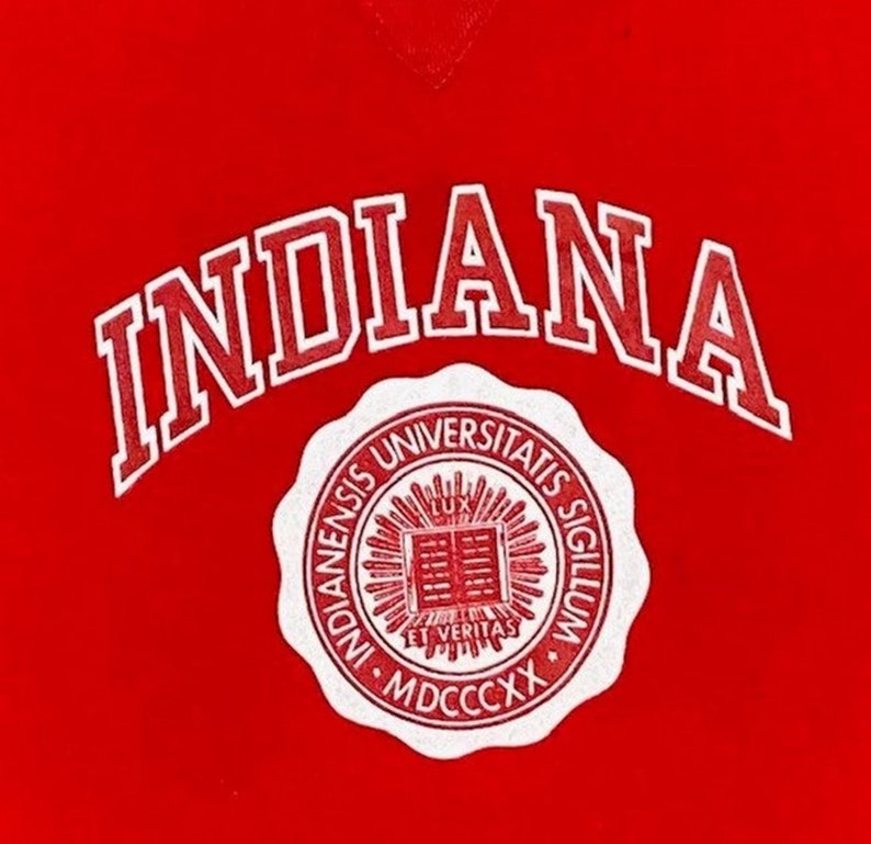 Vintage Indiana University Hoosiers Pull Over Sweatshirt Crewneck, T shirt, Hoodie - Image 2