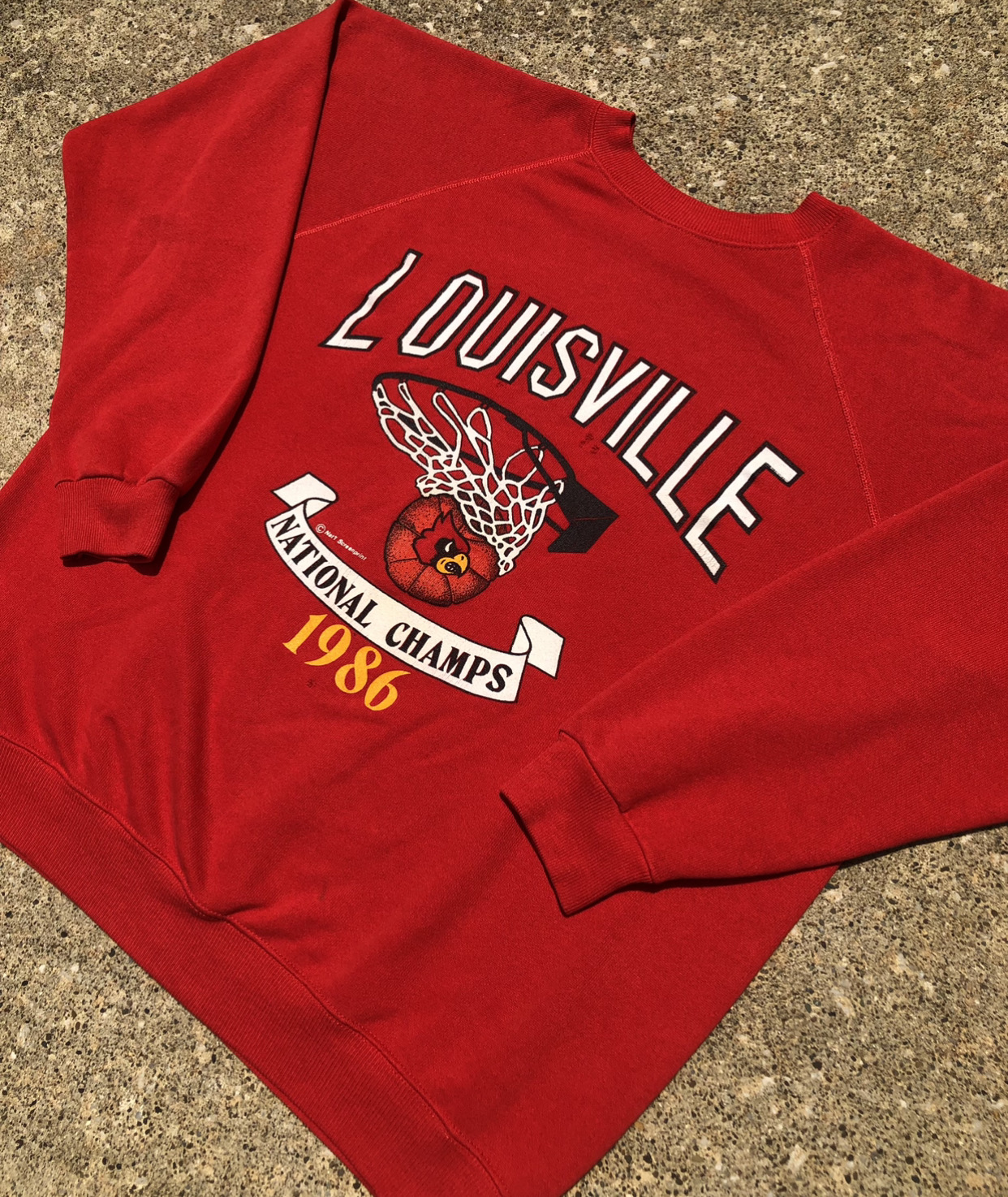 Vintage Louisville Cardinals Crewneck University Football Hoodie Sweatshirt