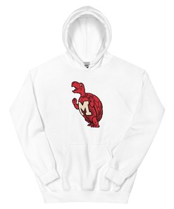 Vintage Maryland Hoodie Sweatshirt Sport Shirt - 1963 Terrapins Art