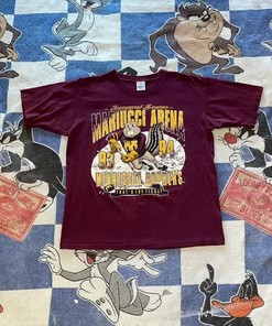 Vintage Minnesota Gophers Hockey Shirt, Football Fan Shirt