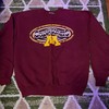 Vintage Minnesota Gophers Sweatshirt, Football Fan Shirt