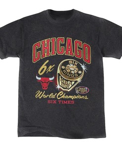 Vintage NBA 90s Chicago Bulls Champions Logo Shirt, Basketball Shirt, Unisex Shirt Sweater Hoodie