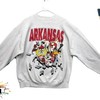 Vintage NCAA Arkansas Razorbacks Looney Tunes Sweatshirt, University of Arkansas, Unisex Shirt