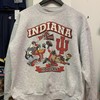Vintage NCAA Indiana Hoosiers Looney Tunes Sweatshirt, University of Indiana Hoosiers Shirt, Unisex Shirt Sweater Hoodie