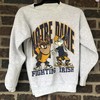 Vintage NCAA Notre Dame Looney Tunes Sweatshirt, Notre Dame Fighting Irish Shirt, University of Notre Dame, Unisex Shirt