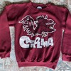 Vintage Pullover Usc Gamecocks Cocky South Carolina 70S 90S Shirt, Hoodie, Sweatshirt, Usc Shirts